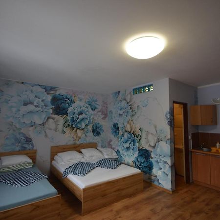 Pod Modrzewiem Mieszkania Wakacyjne Duszniki Zdroj Exterior photo